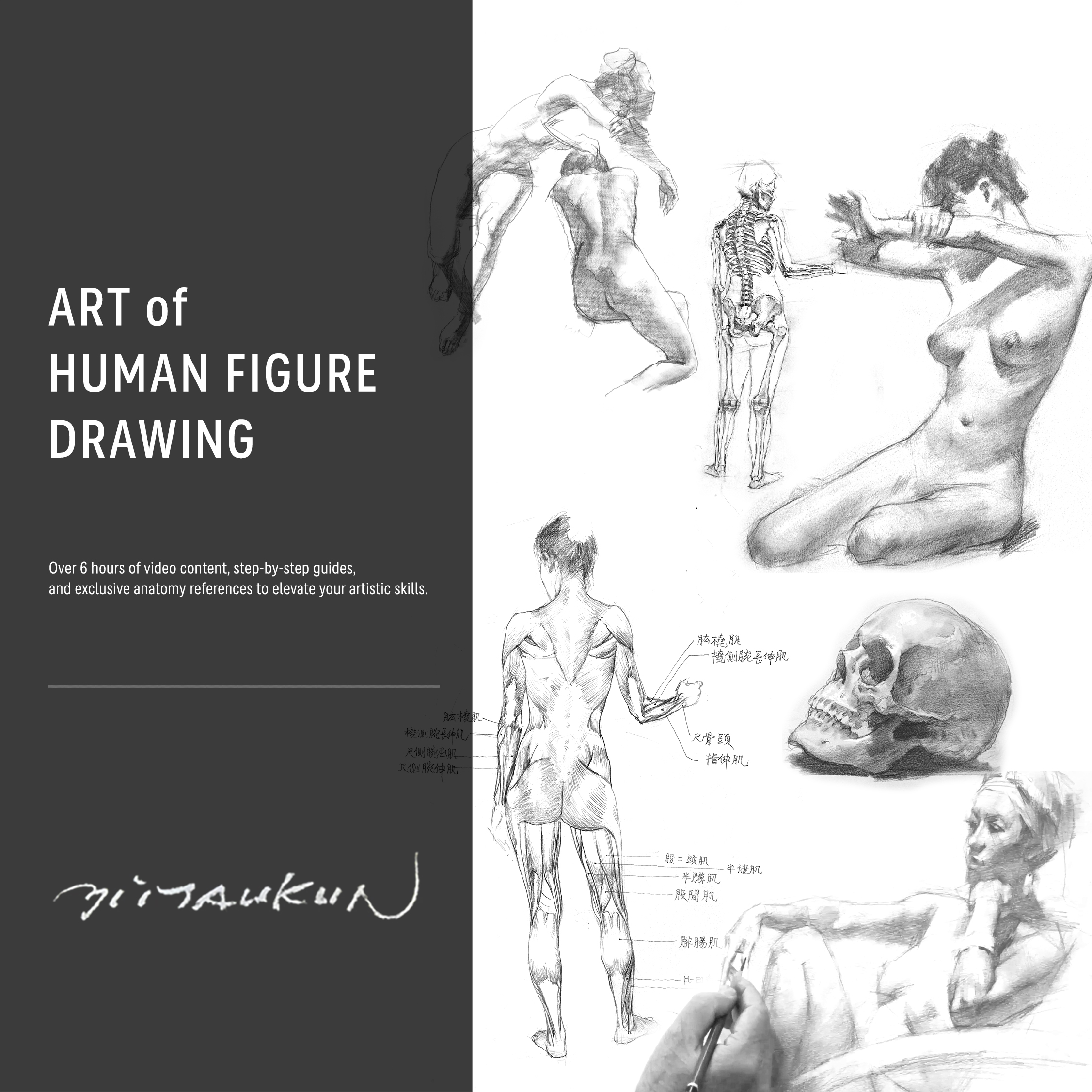 The Art of Human Form — figure drawing course